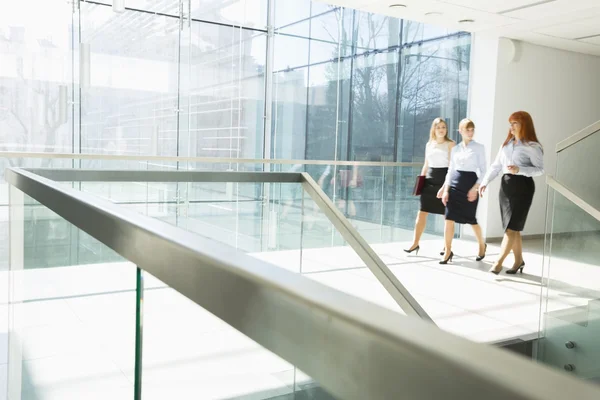 Vrouwelijke ondernemers wandelen — Stockfoto