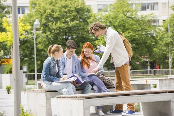 Amigos universitarios que estudian juntos — Foto de Stock