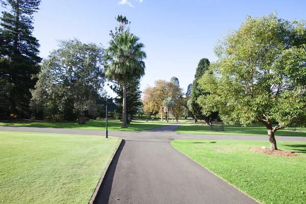 Bomen op botanische tuin — Stockfoto