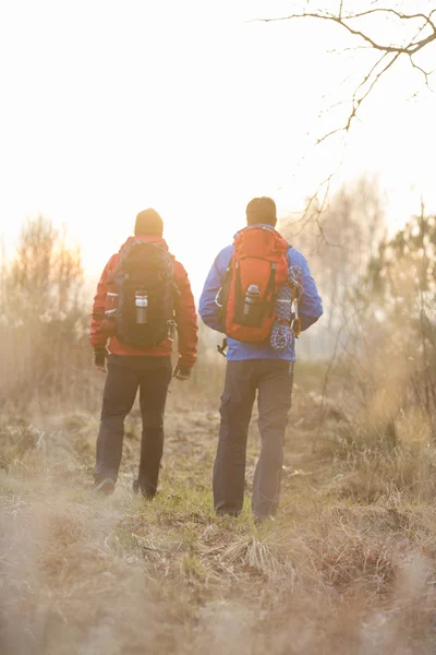 Escursionisti con zaini in piedi — Foto Stock