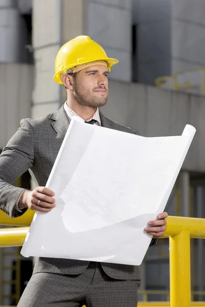 Engenheiro segurando planta — Fotografia de Stock