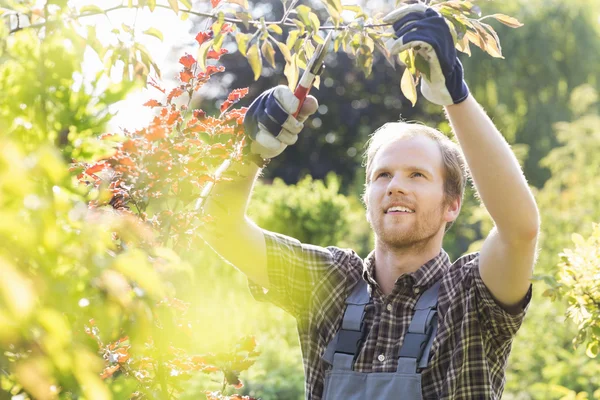 Young man cutting branch — Stock Photo, Image