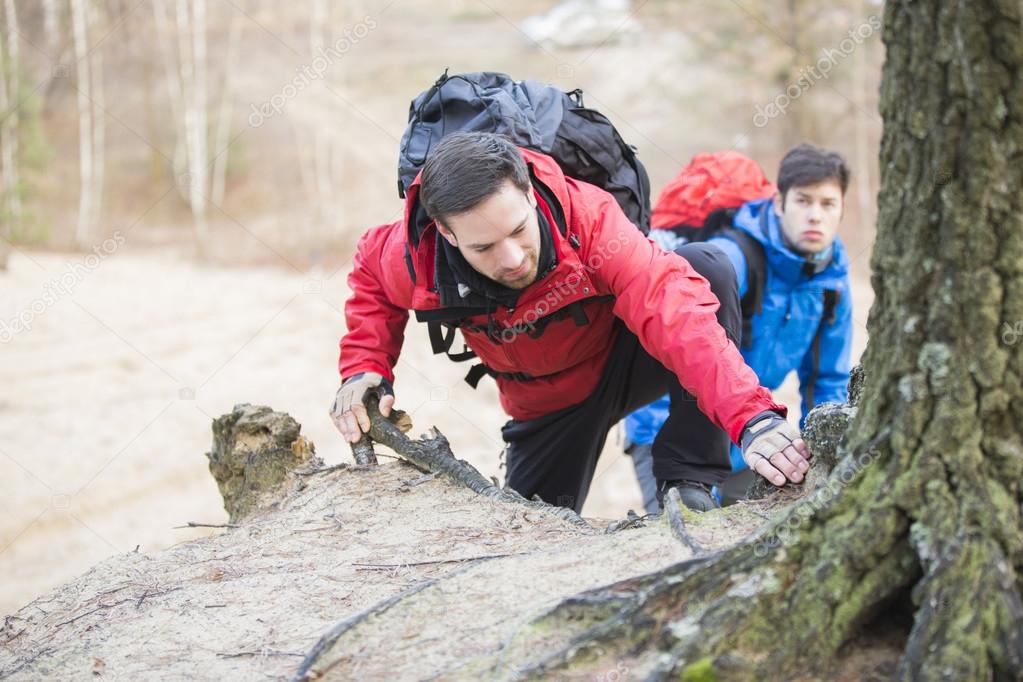 Backpackers hiking in forest