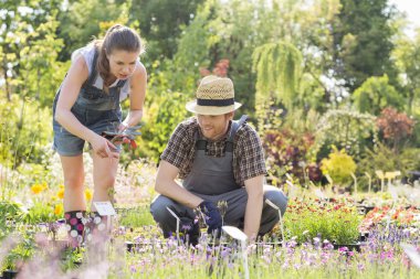 Bir şey tartışırken bahçıvanlar