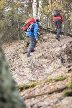 Ormanda hiking backpackers