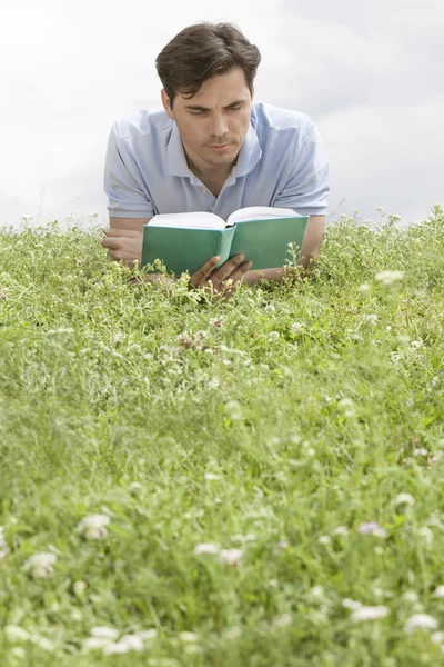 Hombre leyendo libro —  Fotos de Stock