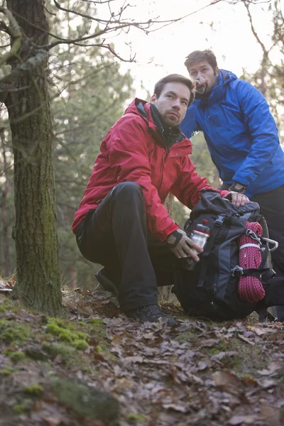 Turisté, koukal v lese — Stock fotografie