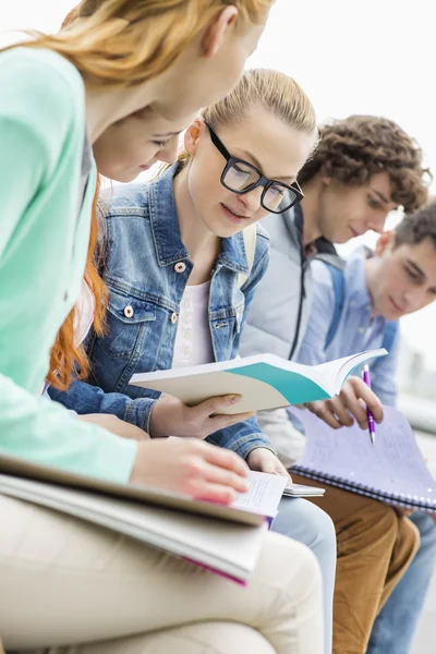 Studenten die samen studeren — Stockfoto