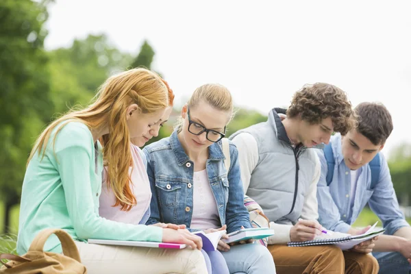 Universitaire studenten samen studeren — Stockfoto