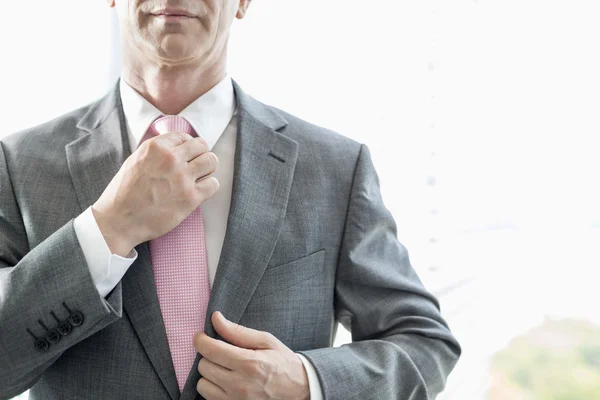 Businessman adjusting necktie — Stock Photo, Image