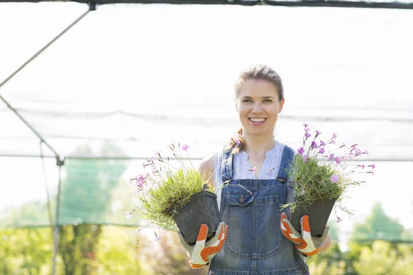 Tuinman bedrijf ingegoten planten — Stockfoto