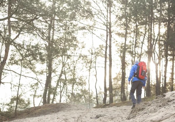 Vandrare i skogen — Stockfoto