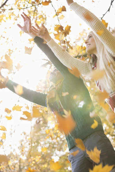 Pareja disfrutando de caída hojas de otoño —  Fotos de Stock