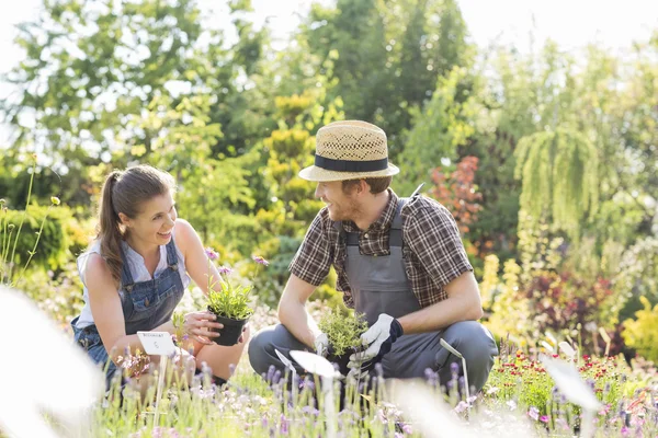 Gardeners talking — Stock Photo, Image