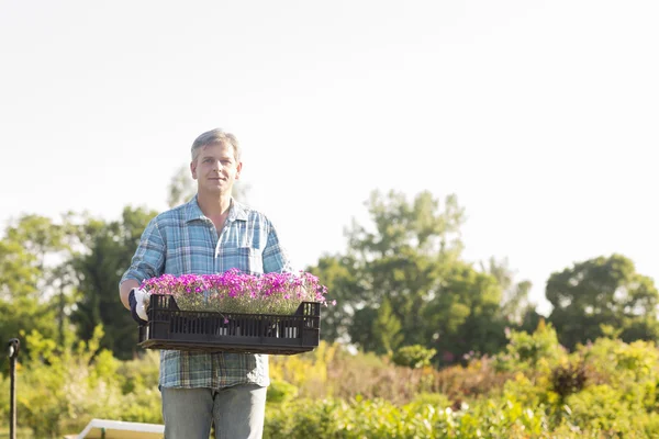 Gardener carrying crate — Stock Photo, Image