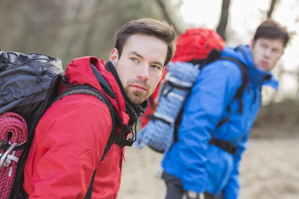 Randonneurs regardant loin dans la forêt — Photo