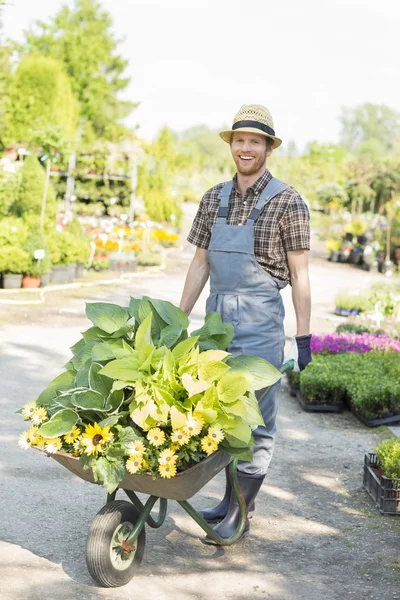 Gärtner schiebt Schubkarre — Stockfoto