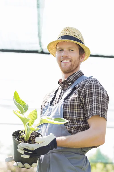 Tuinman houden ingegoten plant — Stockfoto