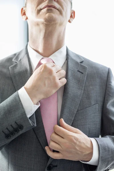 Businessman adjusting necktie — Stock Photo, Image