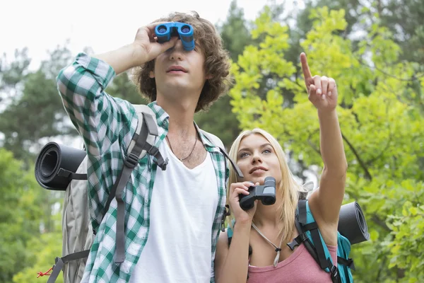 Männlicher Wanderer mit Fernglas — Stockfoto