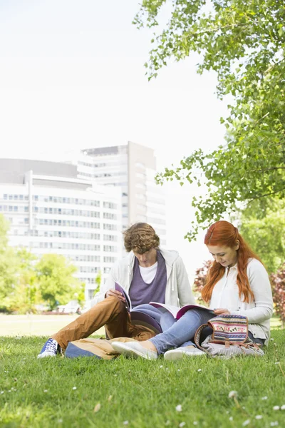 Mujer con amigo varón estudiando —  Fotos de Stock