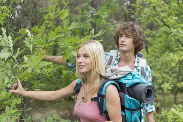 Wandelen in het bos (echt) paar — Stockfoto