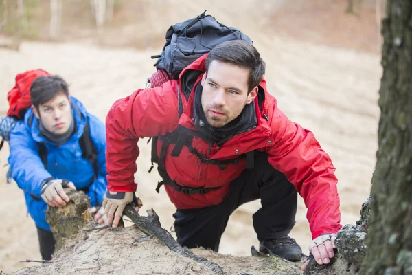 Backpackers hiking in forest — Stock Photo, Image