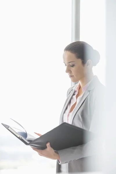 Businesswoman reading file — Stock Photo, Image