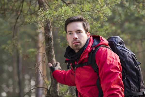 Backpacker in piedi nella foresta — Foto Stock