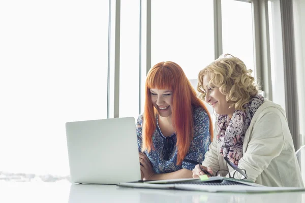 Kvinnliga företagare använder laptop — Stockfoto