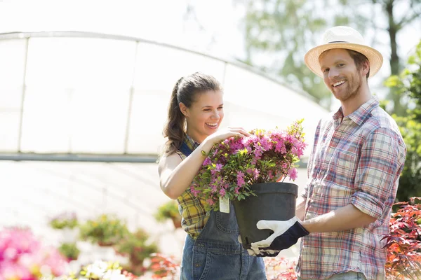 Giardinieri che tengono vaso di fiori — Foto Stock