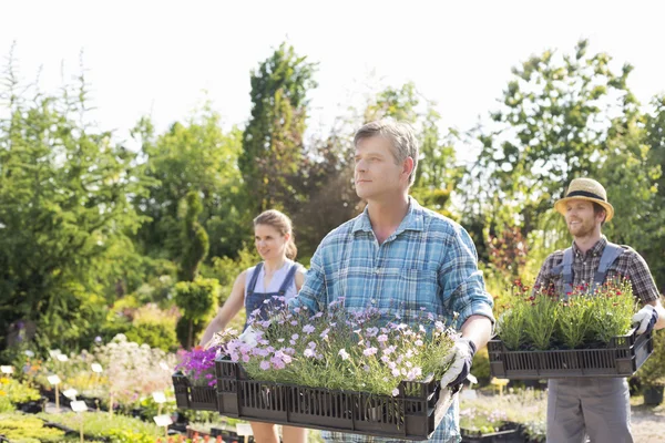 Jardiniers portant des caisses avec pots de fleurs — Photo