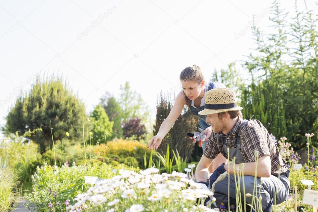 Gardeners working