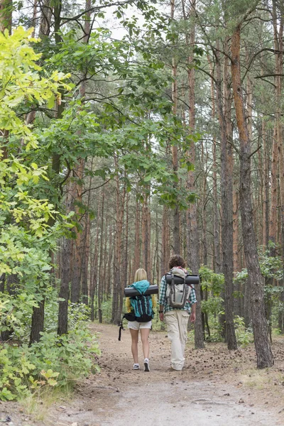 Para spacerująca w lesie — Zdjęcie stockowe
