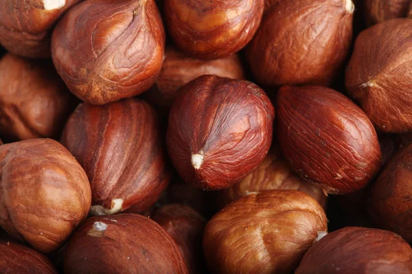 Tasty brown Huzelnuts — Stock Photo, Image