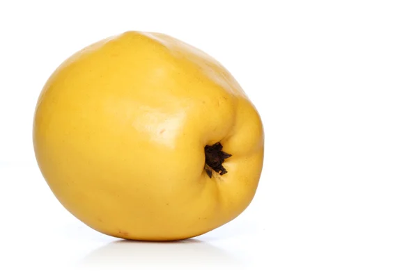 Verse rijpe Quince — Stockfoto