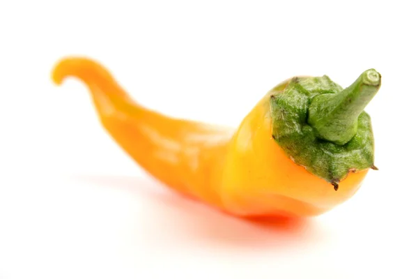 Oranžový chilli papričkou — Stock fotografie