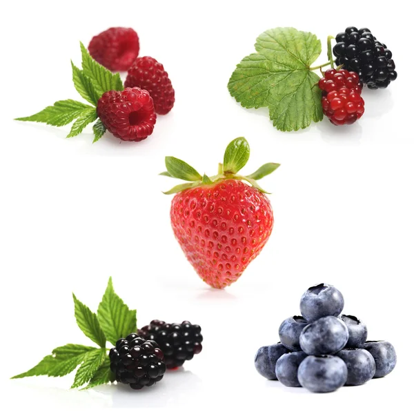 Fresh ripe berries — Stock Photo, Image