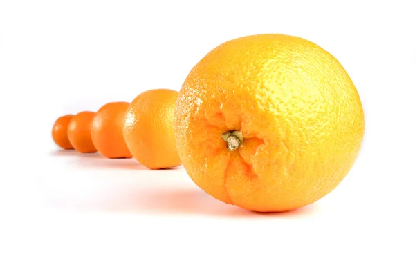 Frische süße Orangen — Stockfoto