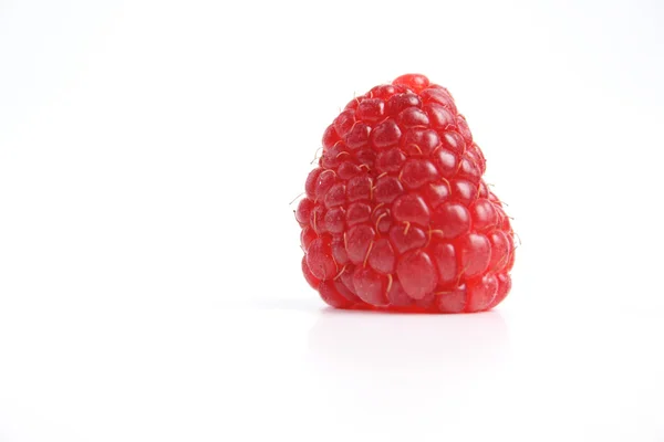One Red raspberry — Stock Photo, Image
