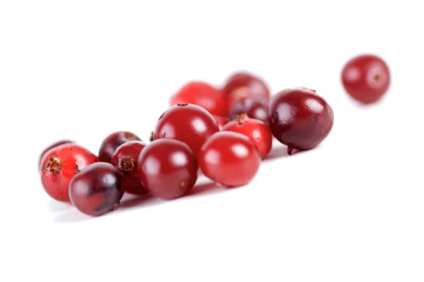 Preiselbeeren — Stockfoto