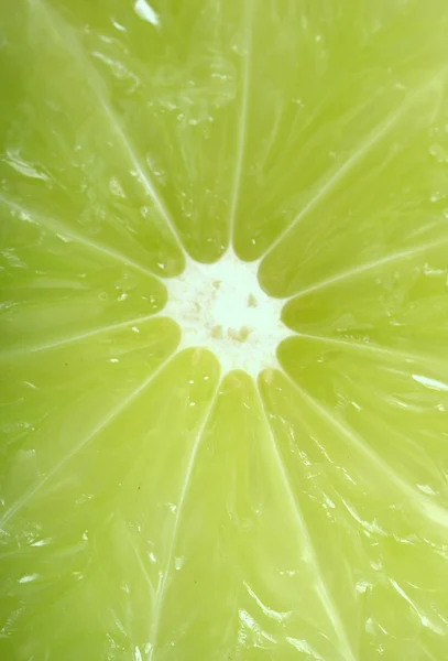 One Slice of lime — Stock Photo, Image