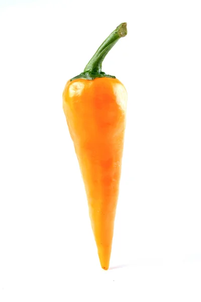 Žlutá chilli papričkou — Stock fotografie