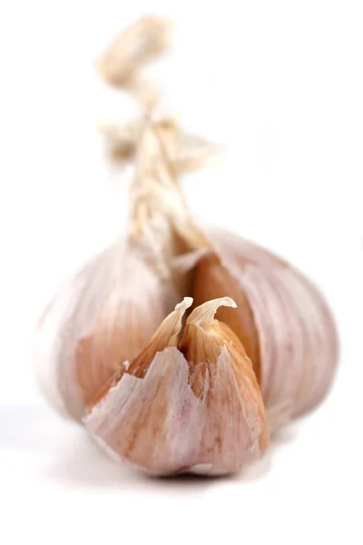 Одна луковица чеснока — стоковое фото