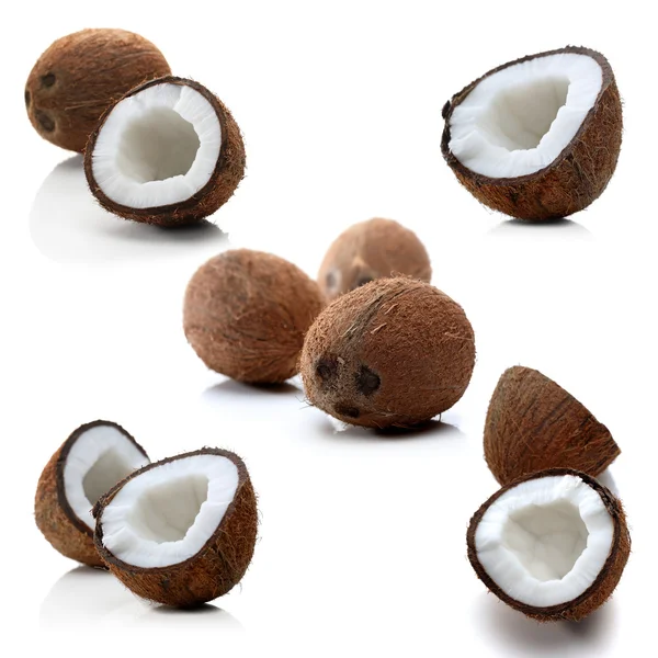 Cocos no fundo branco — Fotografia de Stock