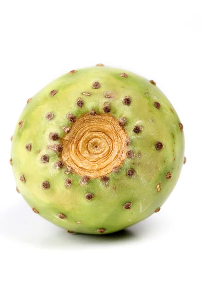 Opuntia ficus indica — Stock Photo, Image