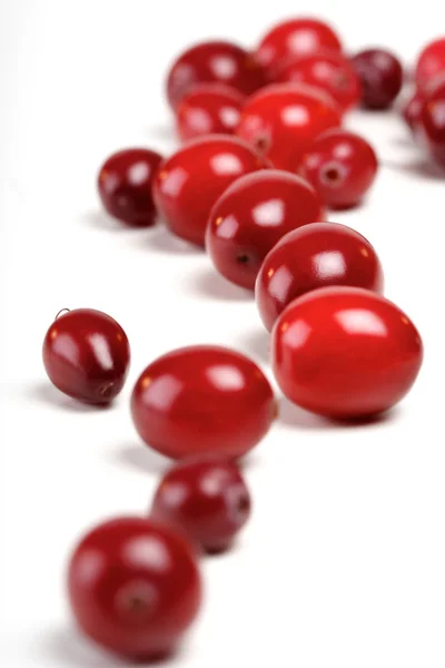 Fresh ripe cranberries — Stock Photo, Image