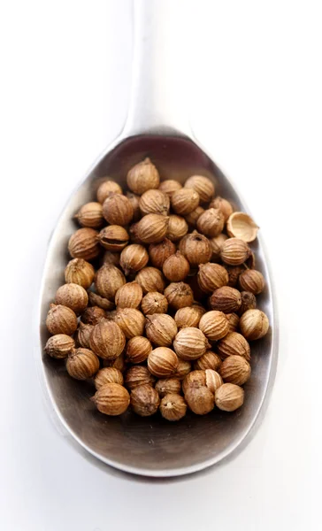 Brown  mustard seeds — Stock Photo, Image