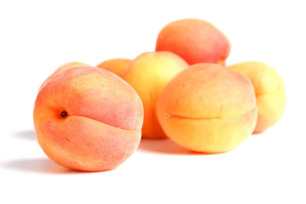 Fresh ripe Apricots — Stock Photo, Image