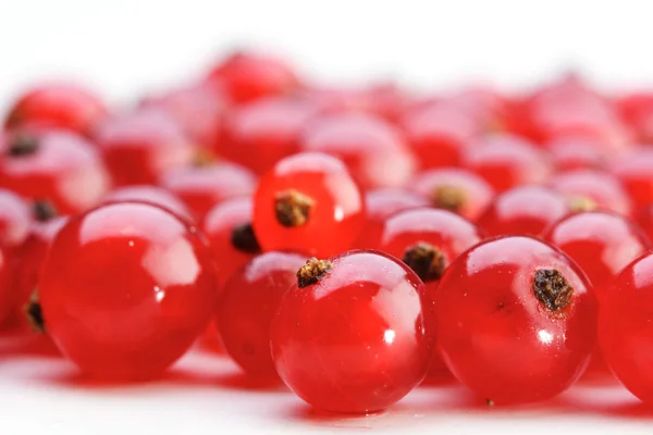 Fresh ripe redcurrats — Stock Photo, Image